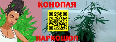 mdpv Камышлов